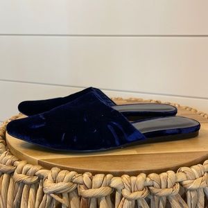 Joie Blue Velvet Point Toe Loafers